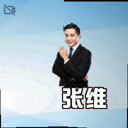 张维